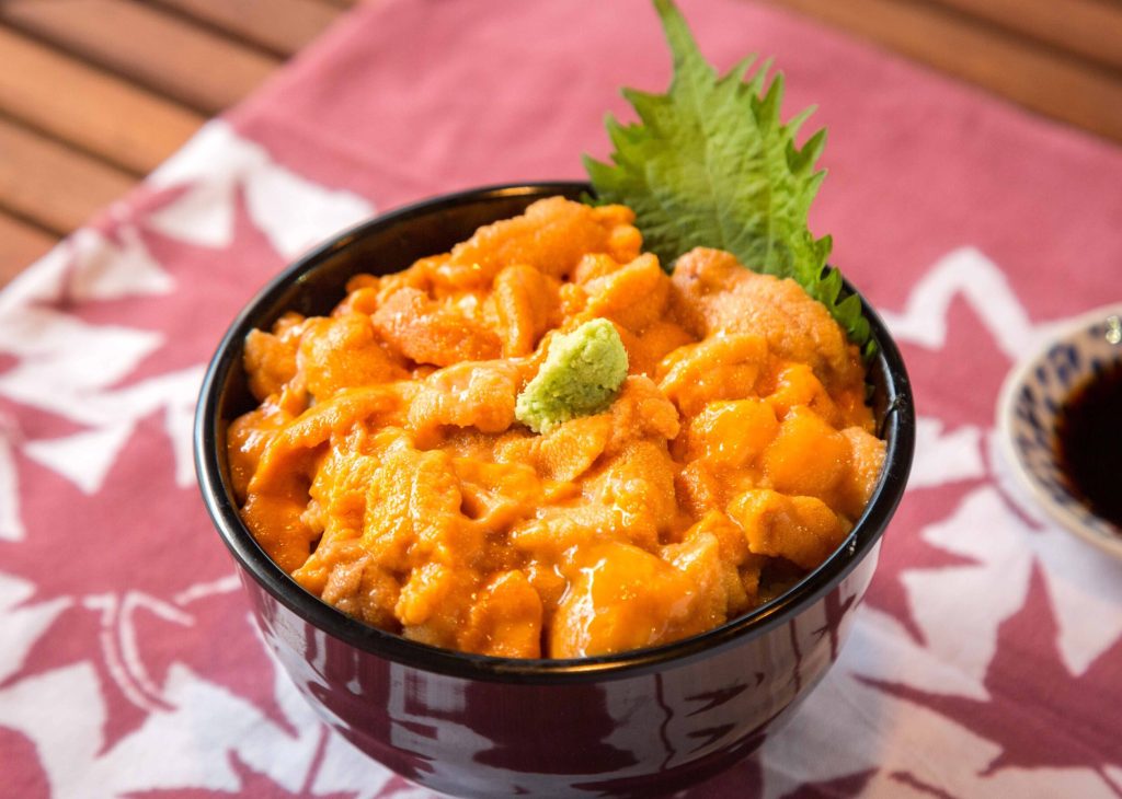 oda-uni-6良い 軽い